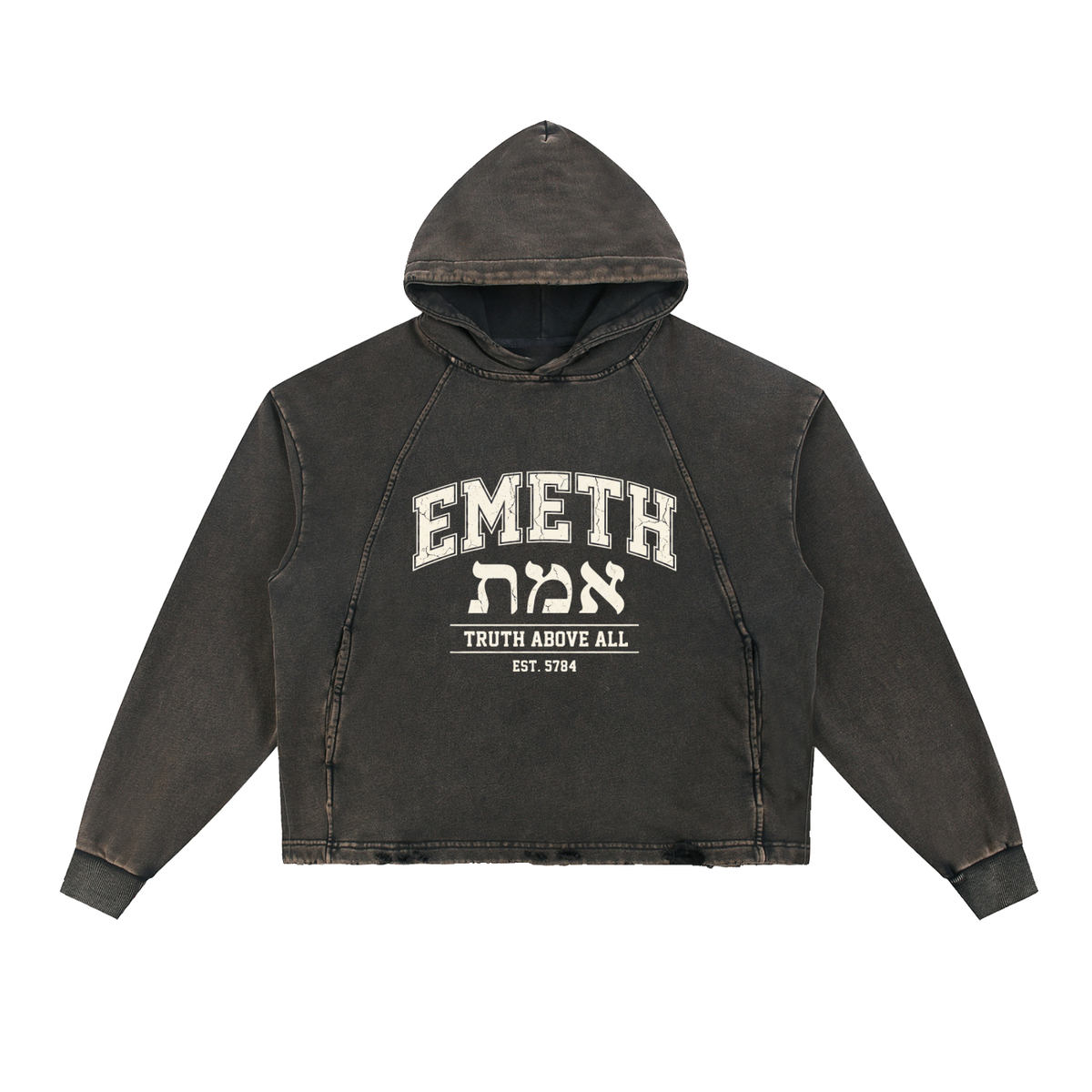 EMETH Truth Above All | Hoodie Vintage Délavé
