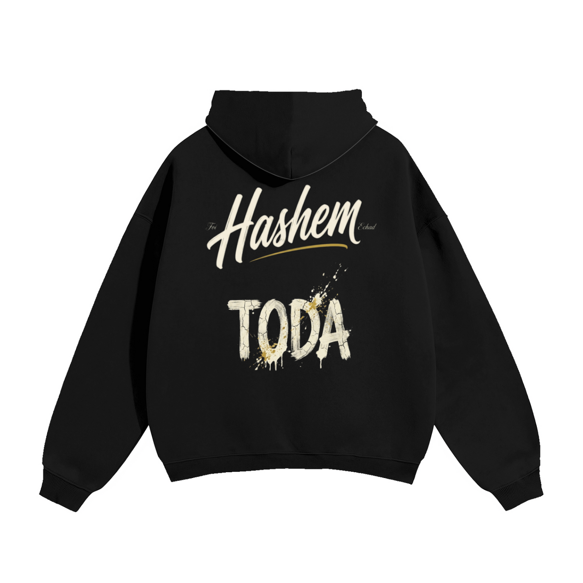 EMETH HASCHEM Toda | Hoodie