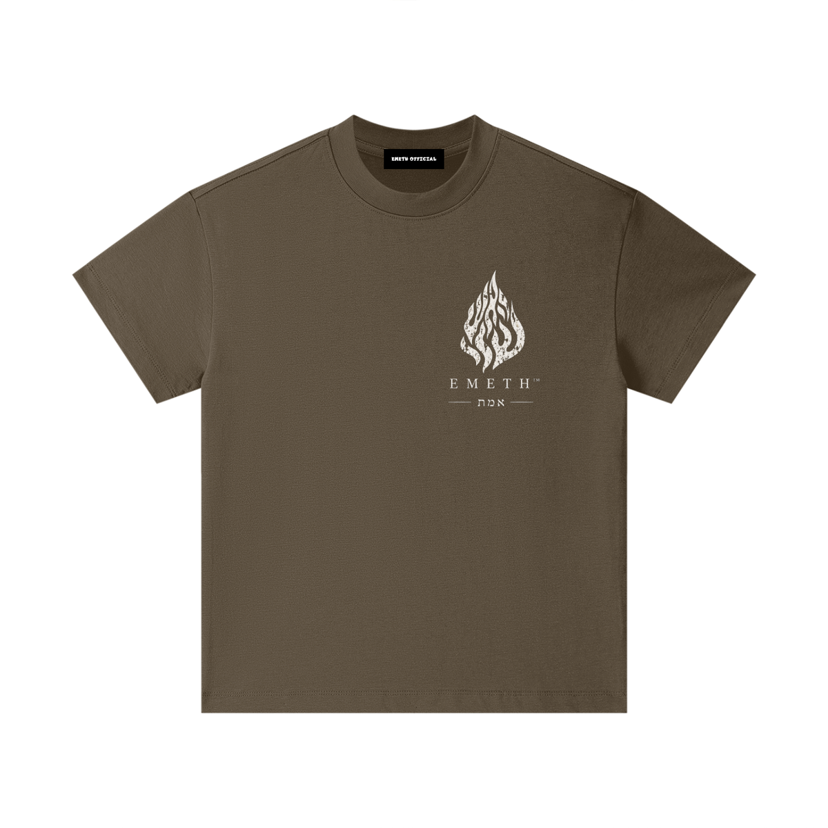 EMETH Kids Lion de Juda | T-shirt Coton Premium