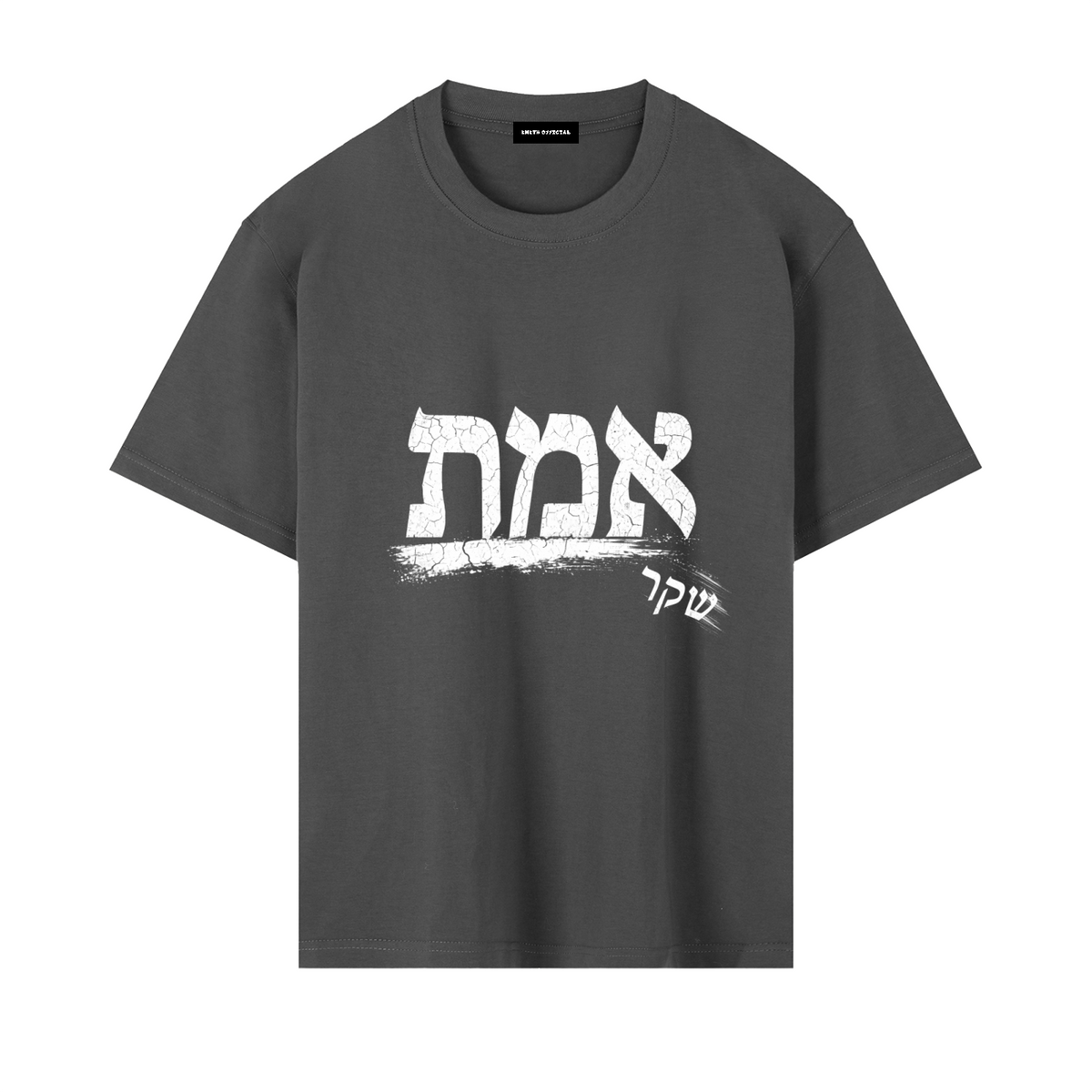 EMETH אמת Oversized Heavyweight T-Shirt