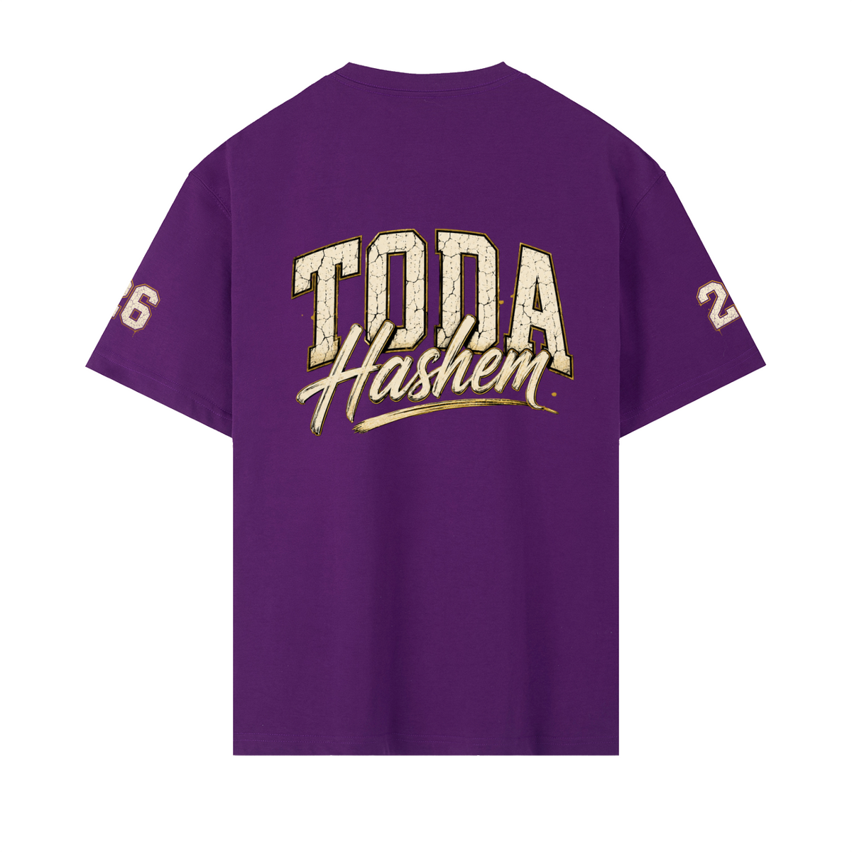 EMETH Toda Hashem Signature Tee