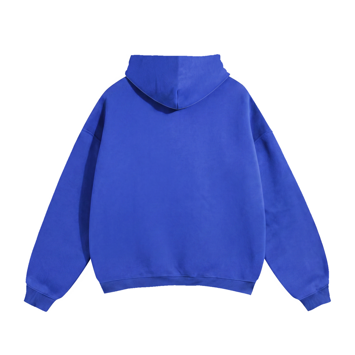 EMETH Ein Od Milvado – Truth Division | Hoodie Premium 350 g/m²