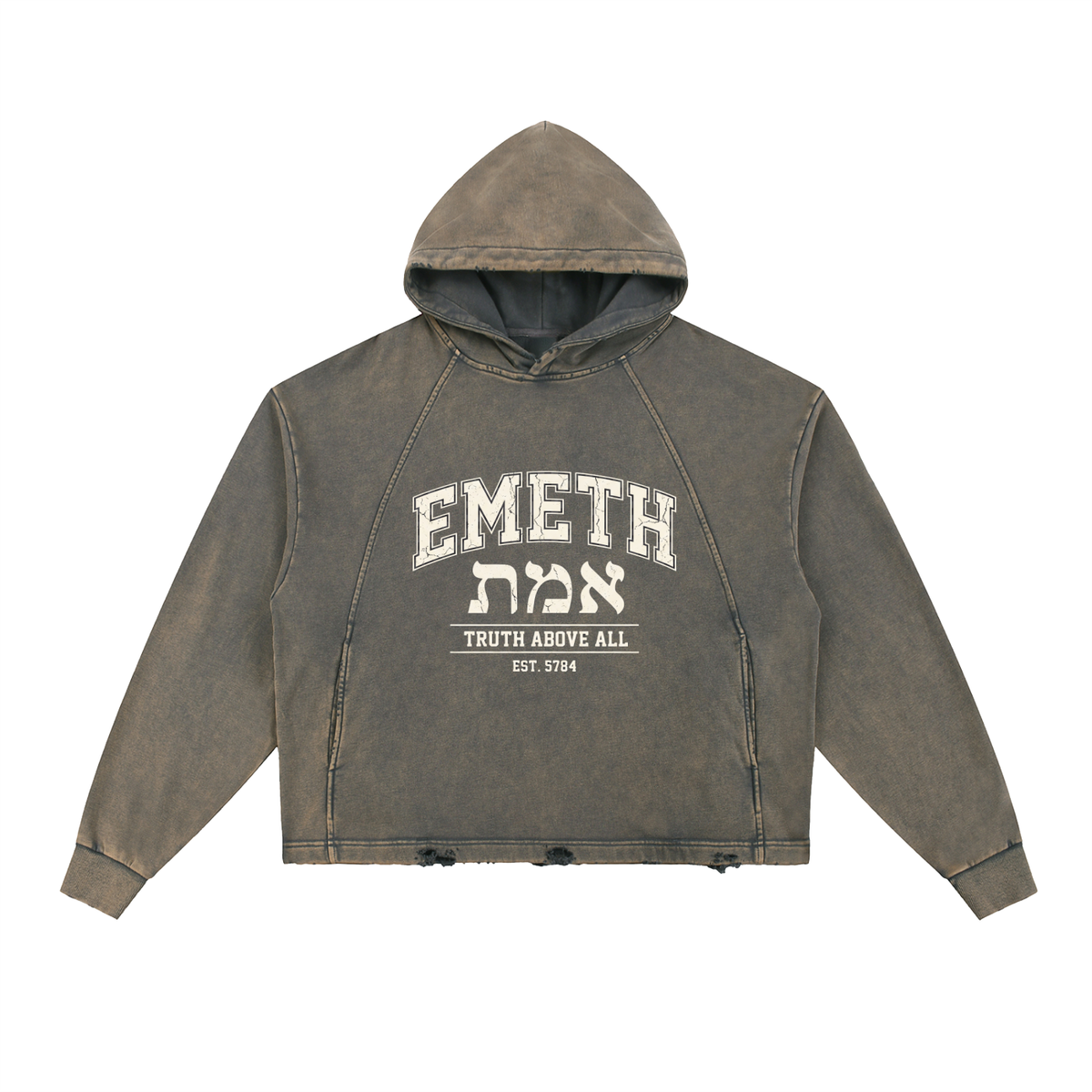 EMETH Truth Above All | Hoodie Vintage Délavé