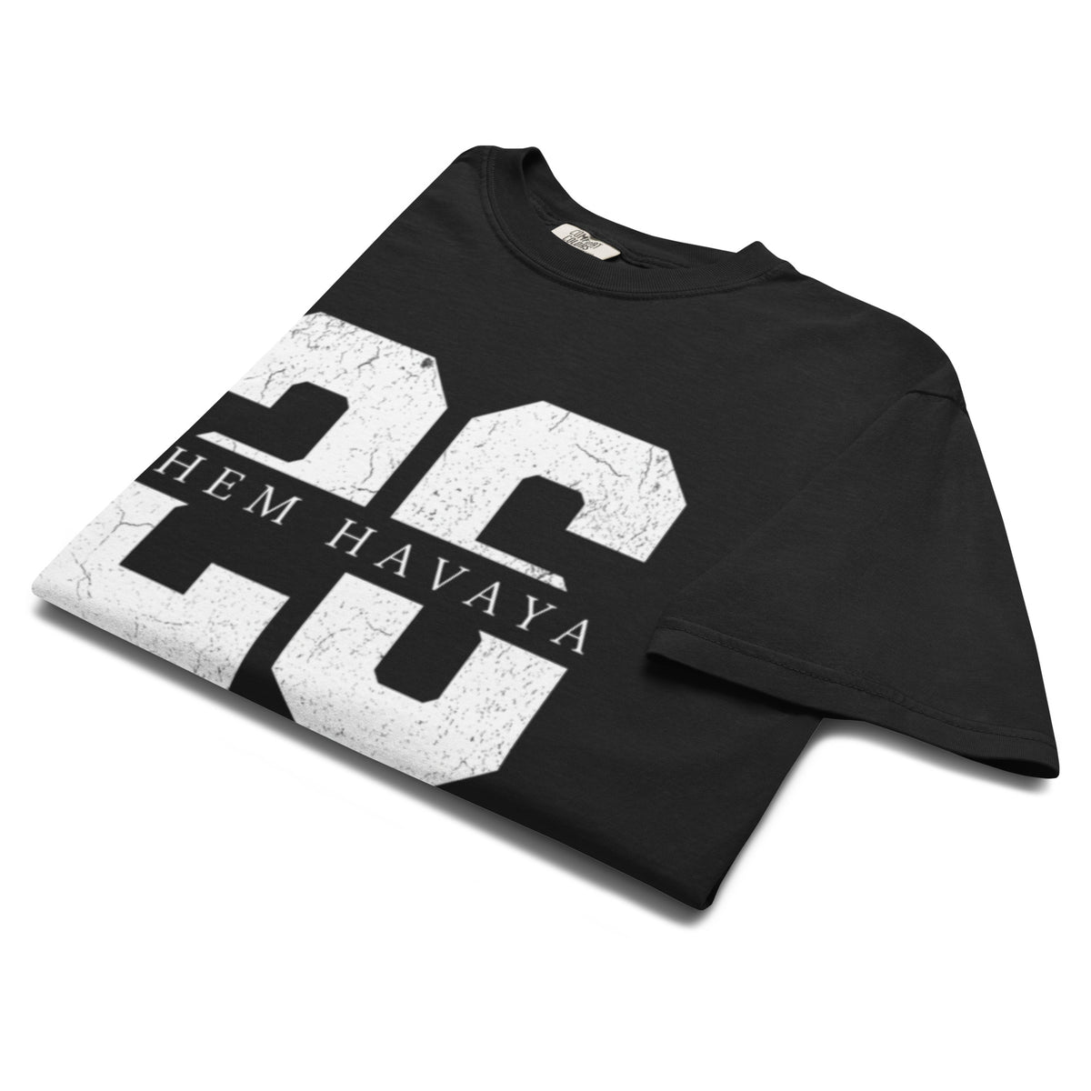 EMETH™ 26 Shem Havaya T-Shirt — vue 37