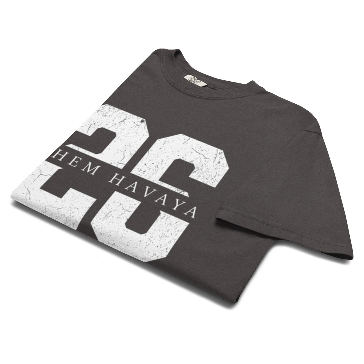 EMETH™ 26 Shem Havaya T-Shirt — vue 40