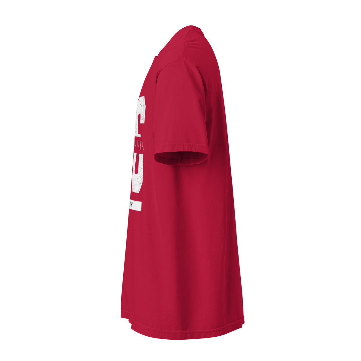 EMETH™ 26 Shem Havaya T-Shirt — vue 21