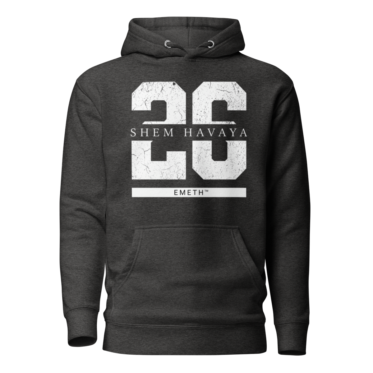 EMETH™ 26 Shem Havaya Hoodie — vue 4