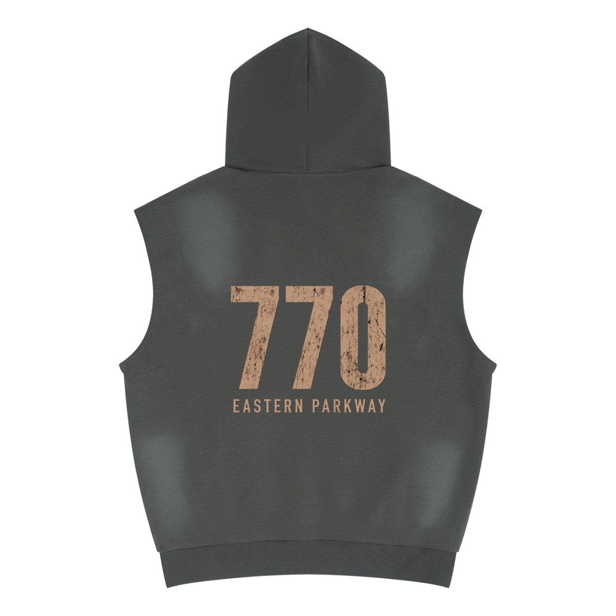 hoodie,emeth,770,homme