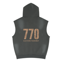 hoodie,emeth,770,homme