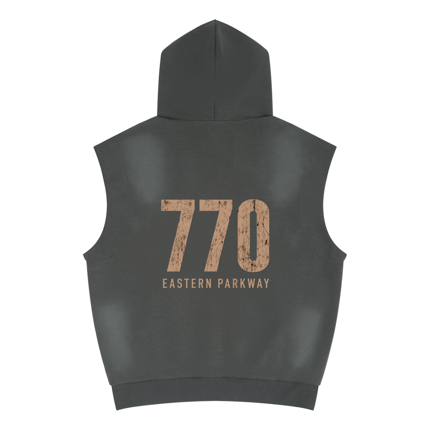 hoodie,emeth,770,homme