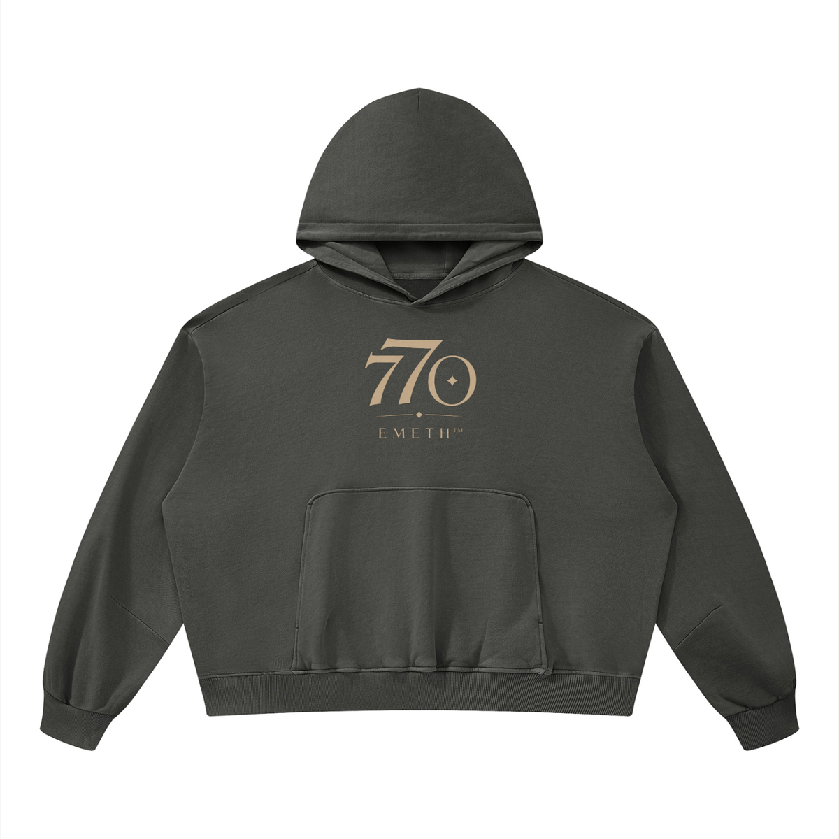 EMETH 770 The World Is Ready | Hoodie Boxy