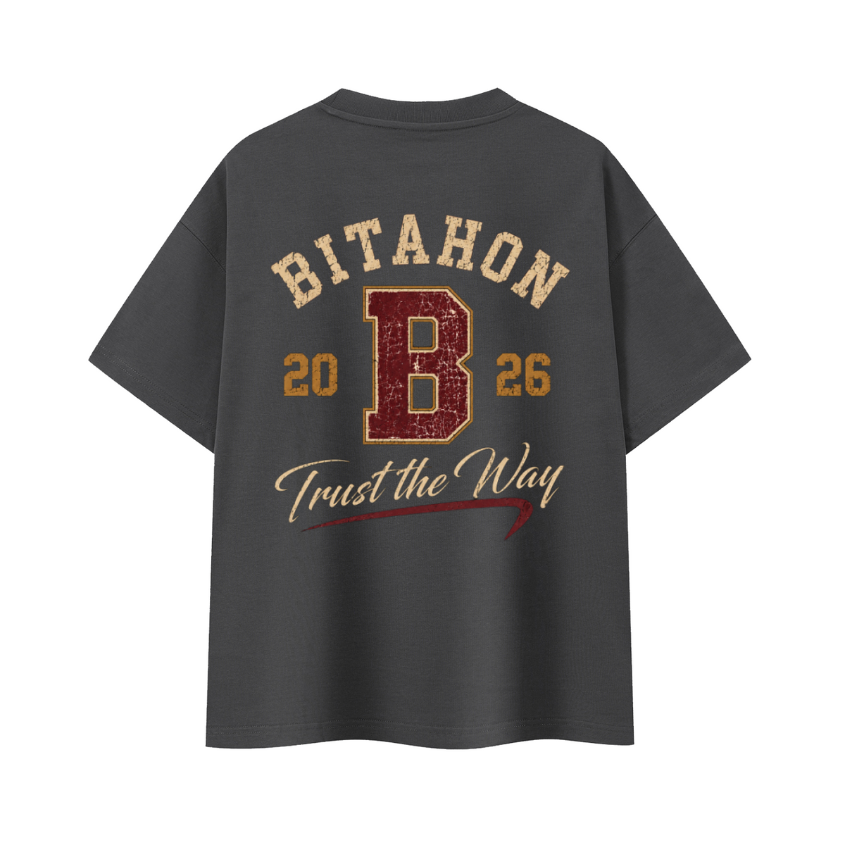 T-shirt Oversize Heavyweight BITAHON 2026 – 400 GSM | EMETH