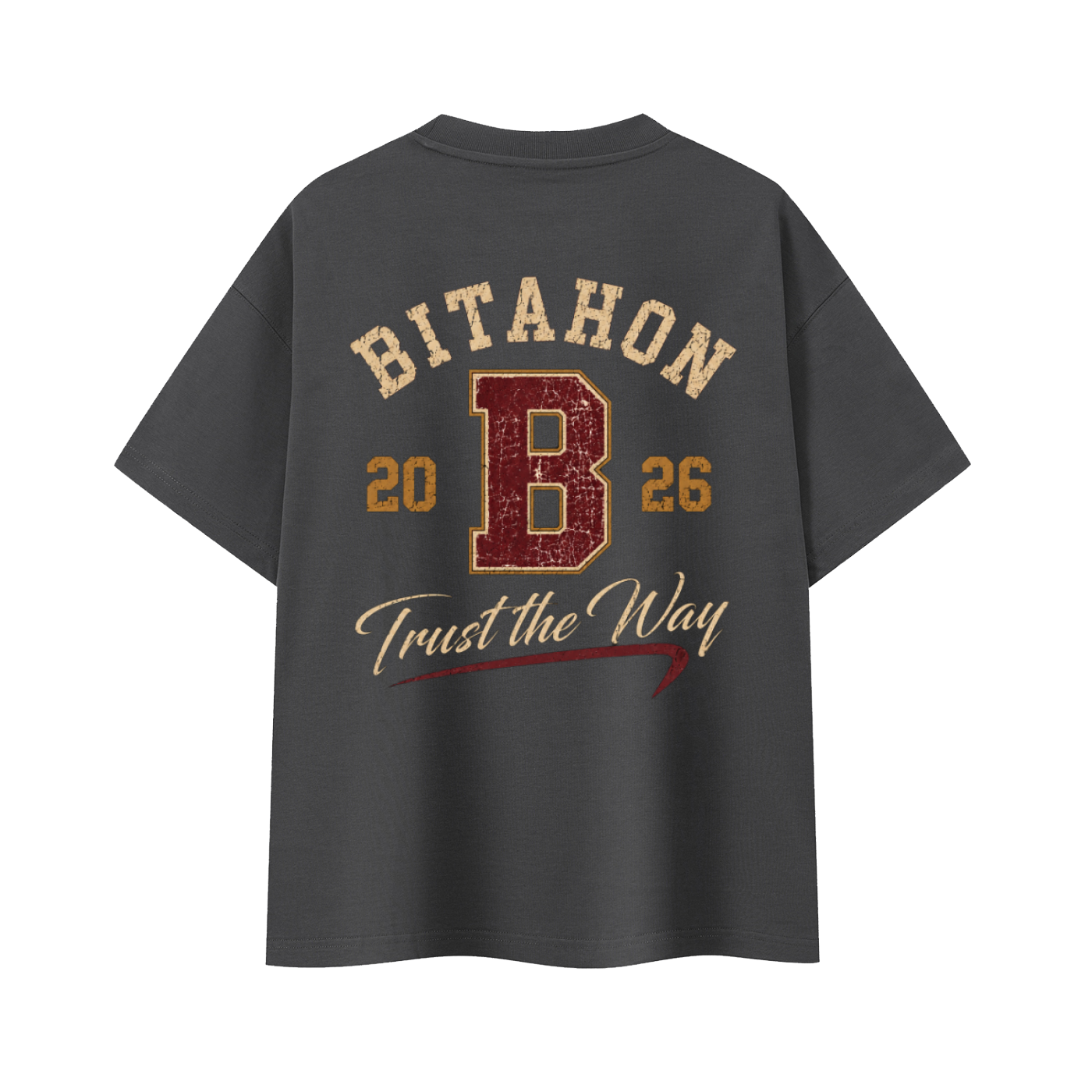 T-shirt Oversize Heavyweight BITAHON 2026 – 400 GSM | EMETH