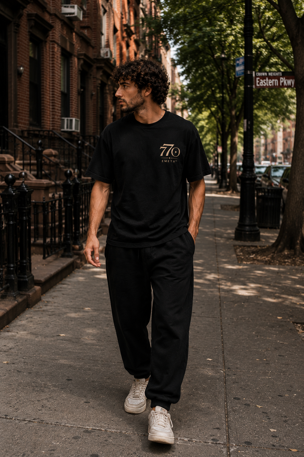 EMETH™ 770 – The World Is Ready for Moshiach | T-shirt 100 % Coton