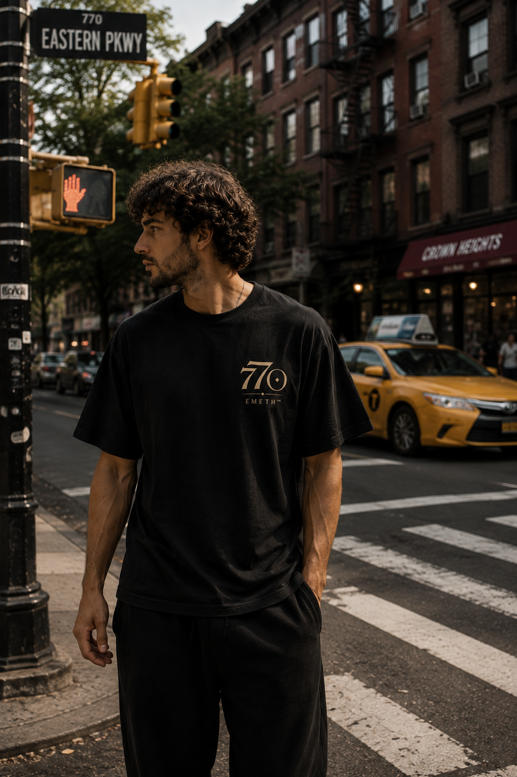 EMETH™ 770 – The World Is Ready for Moshiach | T-shirt 100 % Coton