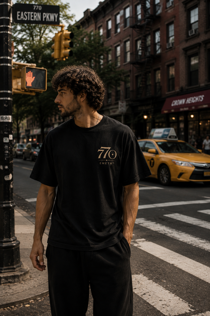 EMETH™ 770 – The World Is Ready for Moshiach | T-shirt 100 % Coton