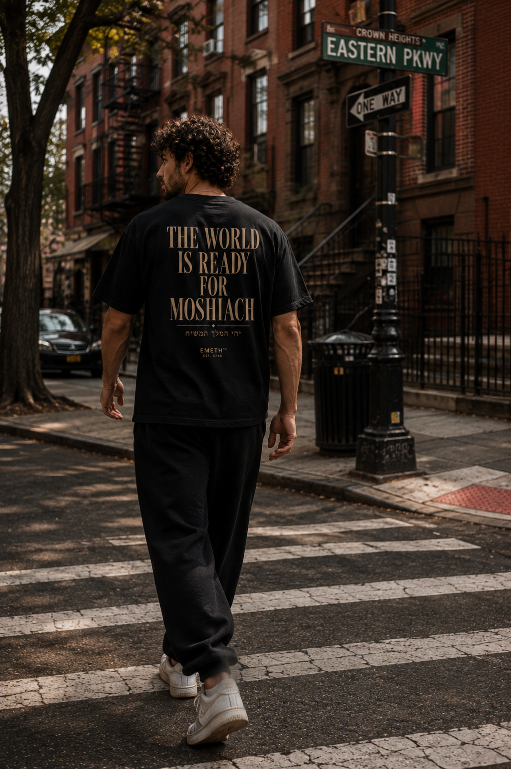 EMETH™ 770 – The World Is Ready for Moshiach | T-shirt 100 % Coton