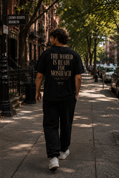 EMETH™ 770 – The World Is Ready for Moshiach | T-shirt 100 % Coton