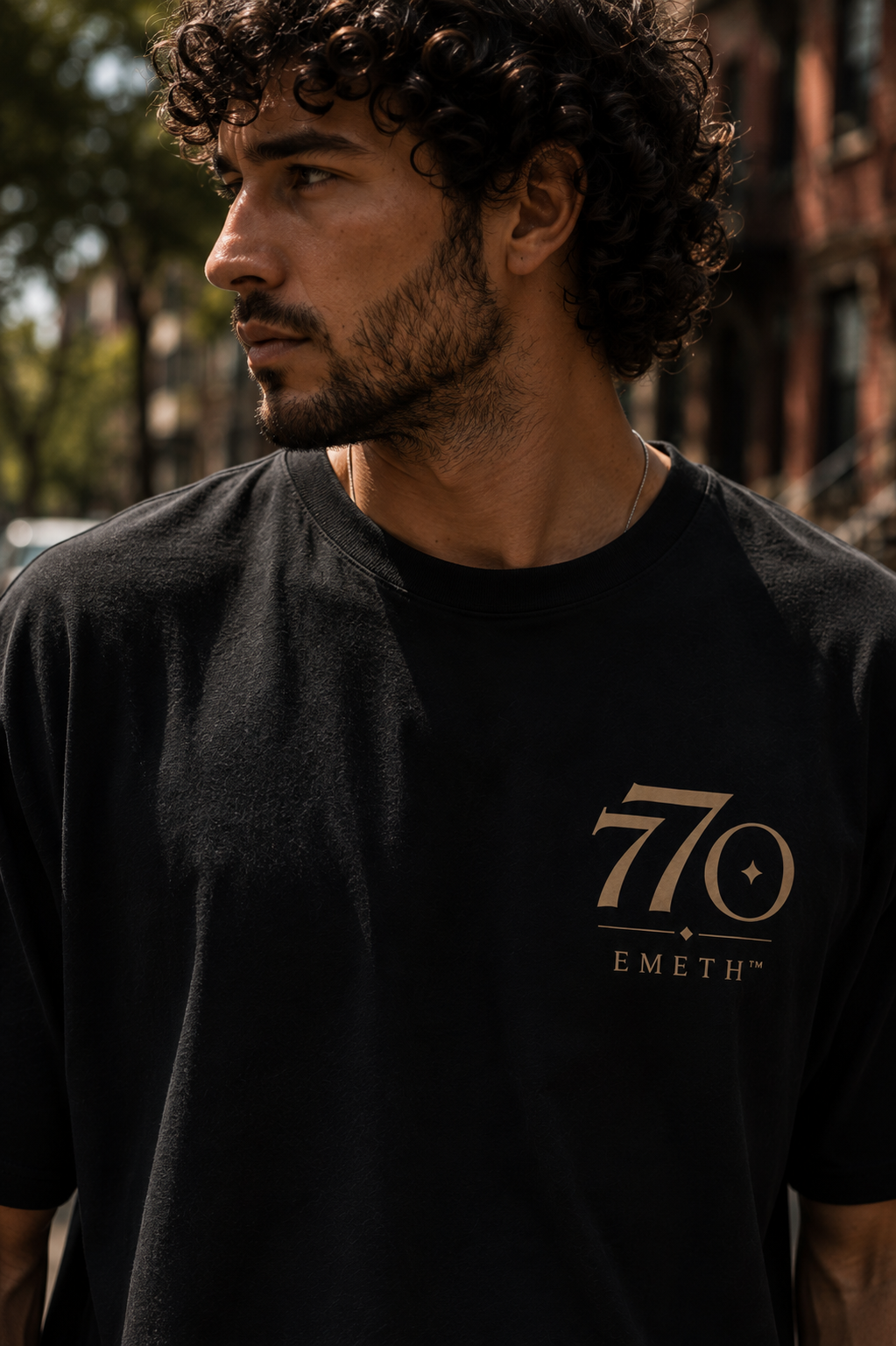 EMETH™ 770 – The World Is Ready for Moshiach | T-shirt 100 % Coton