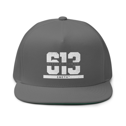 EMETH™ 613 Mitzvot Torah Cap - Gris - EMETH