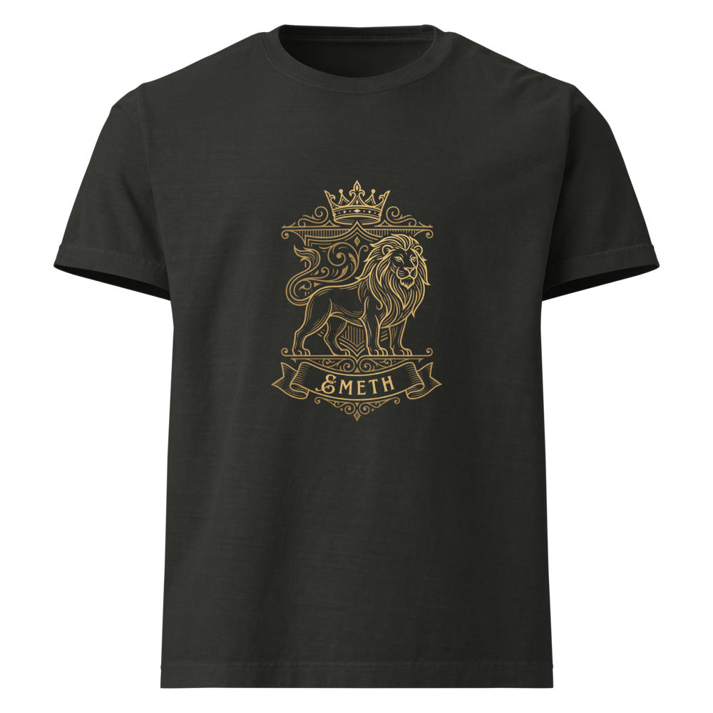 EMETH Lion de Juda Noir délavé — face