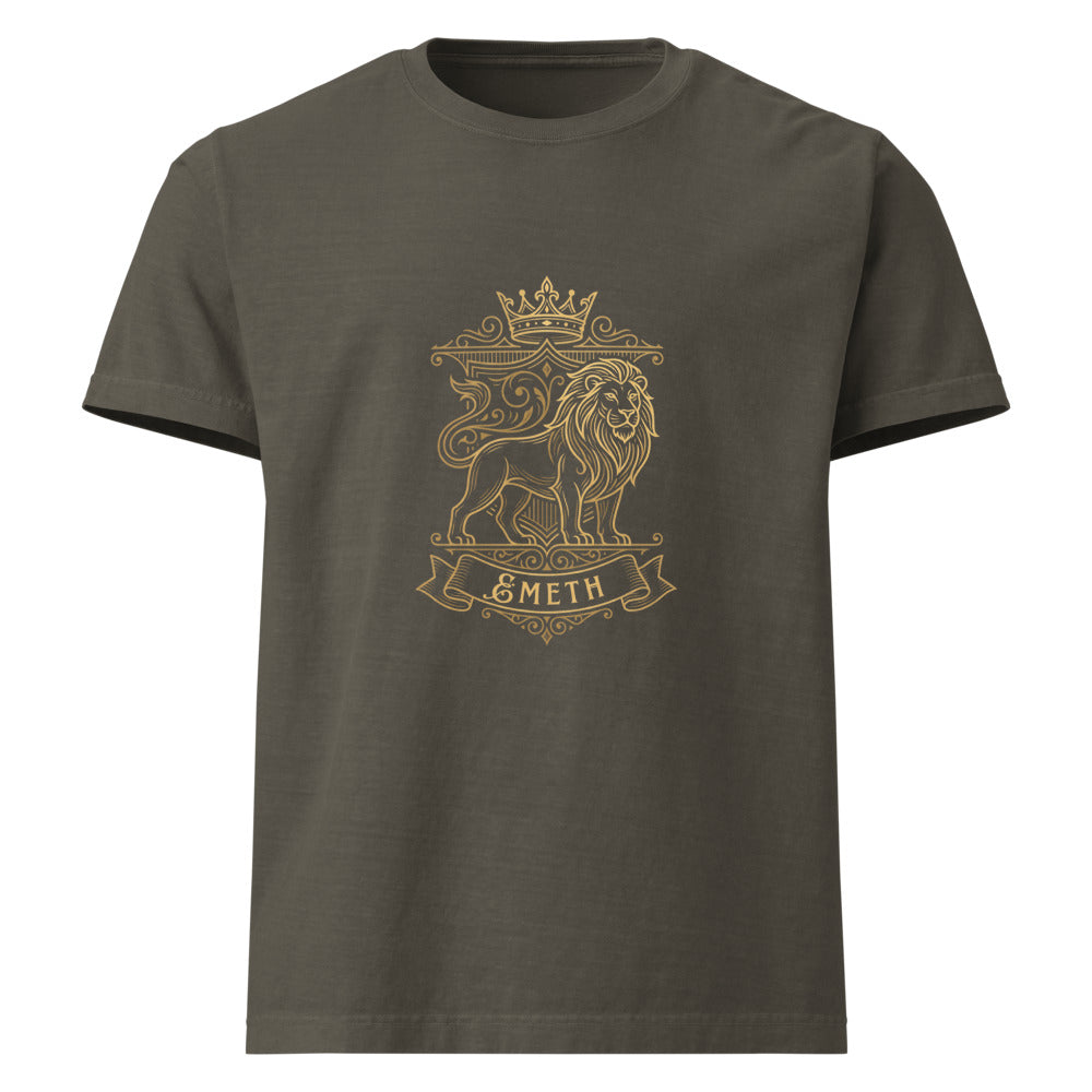 EMETH Lion de Juda Charbon délavé — face