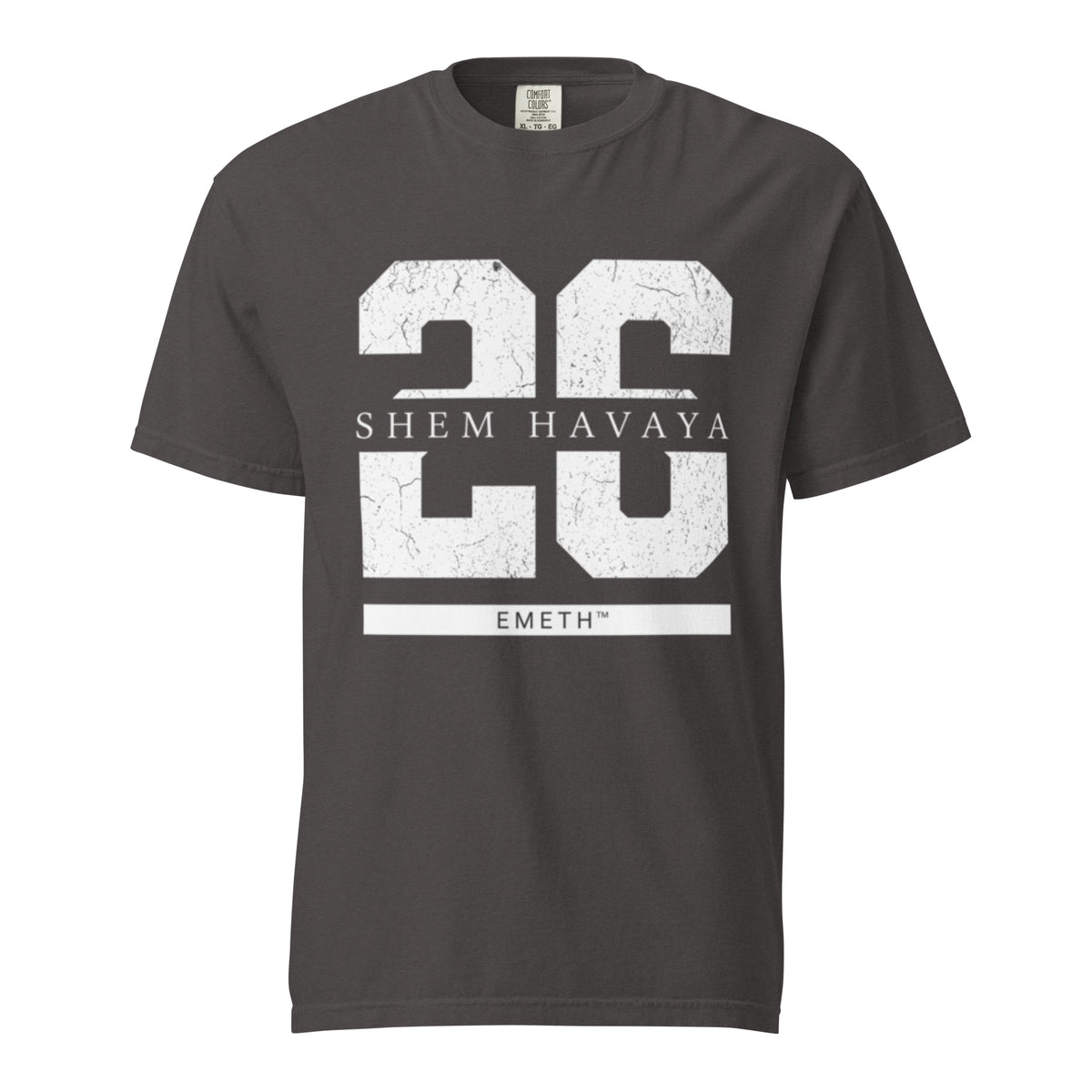 EMETH™ 26 Shem Havaya T-Shirt — vue 4