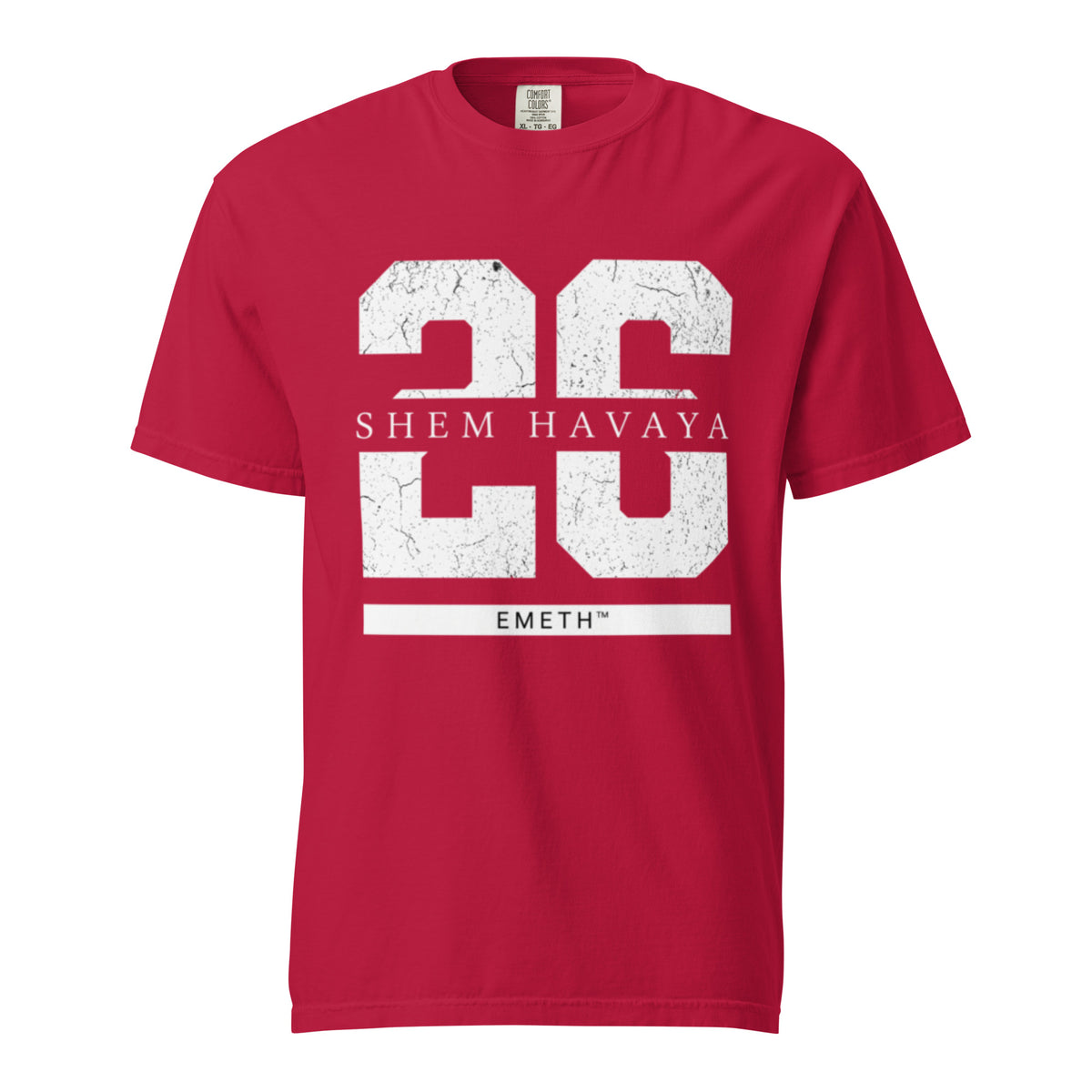 EMETH™ 26 Shem Havaya T-Shirt — vue 3