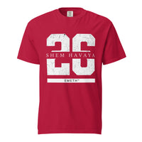 EMETH™ 26 Shem Havaya T-Shirt — vue 3