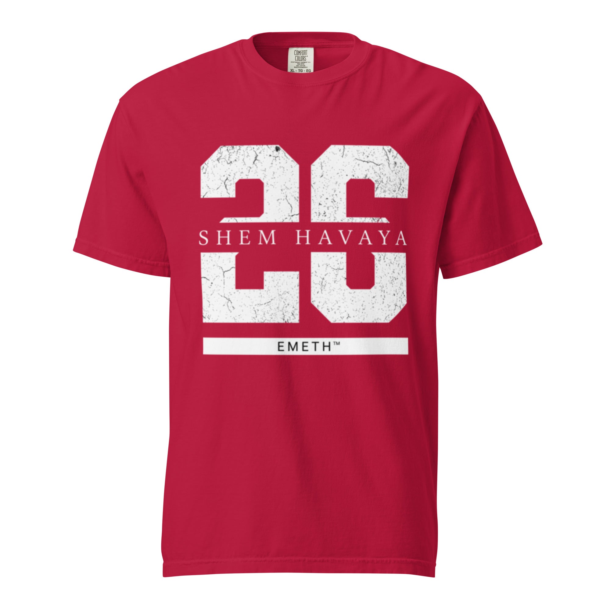 EMETH™ 26 Shem Havaya T-Shirt — vue 3
