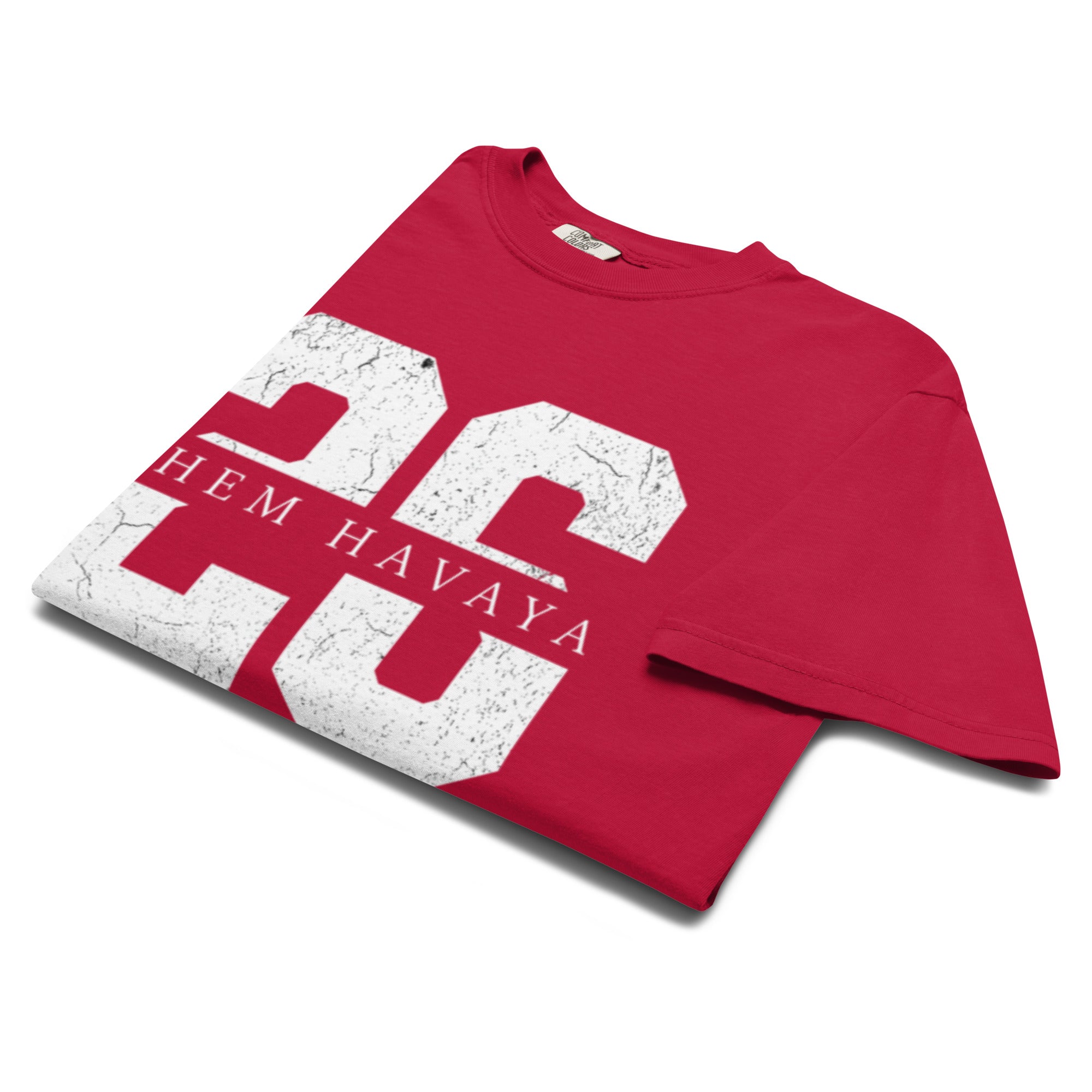 EMETH™ 26 Shem Havaya T-Shirt — vue 39