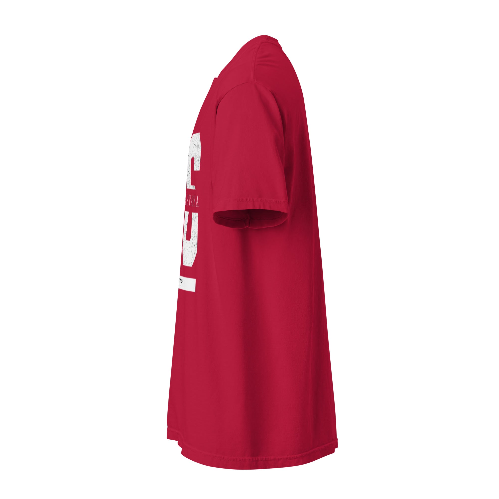 EMETH™ 26 Shem Havaya T-Shirt — vue 21