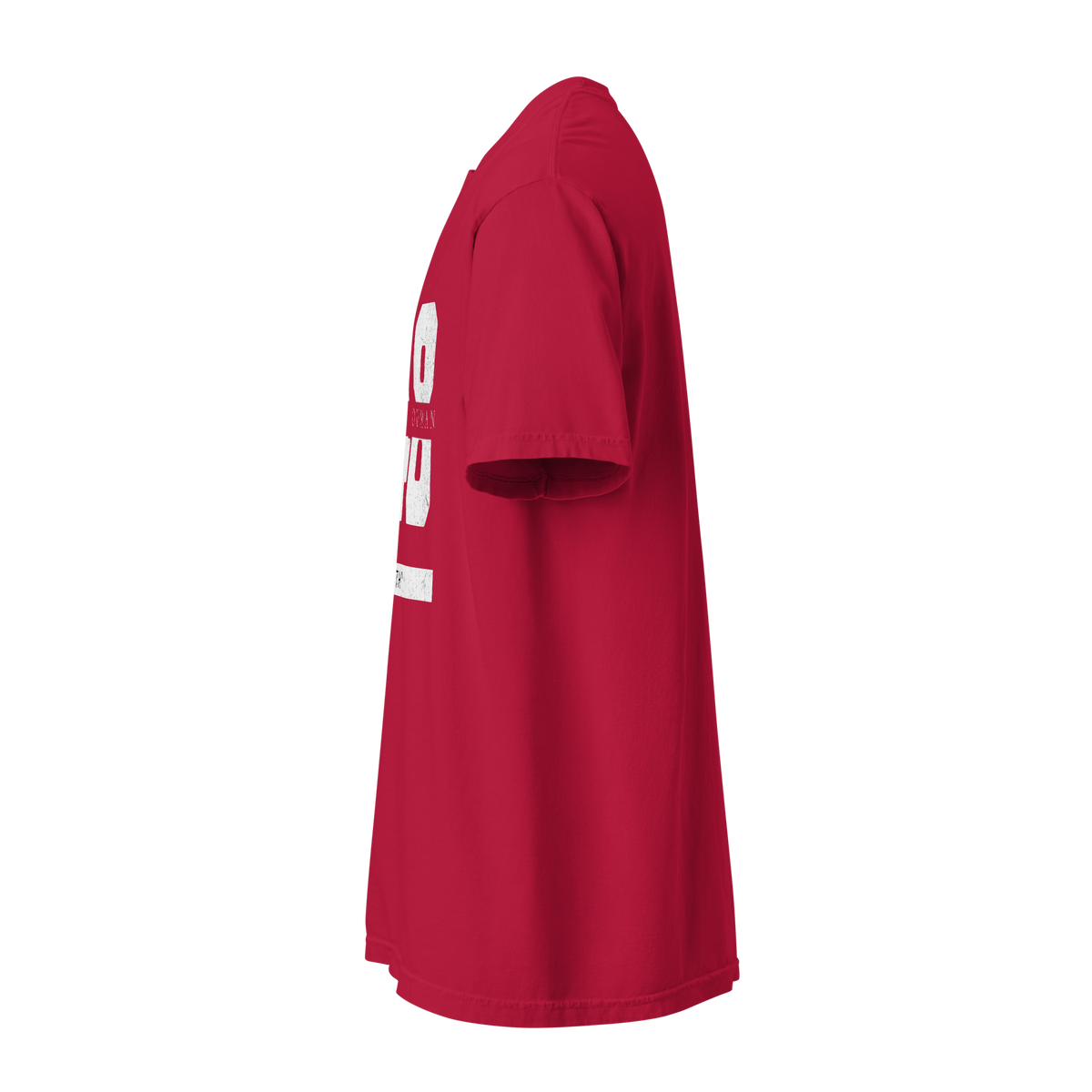 EMETH™ 148 Breslev Ouman T-Shirt — vue 21