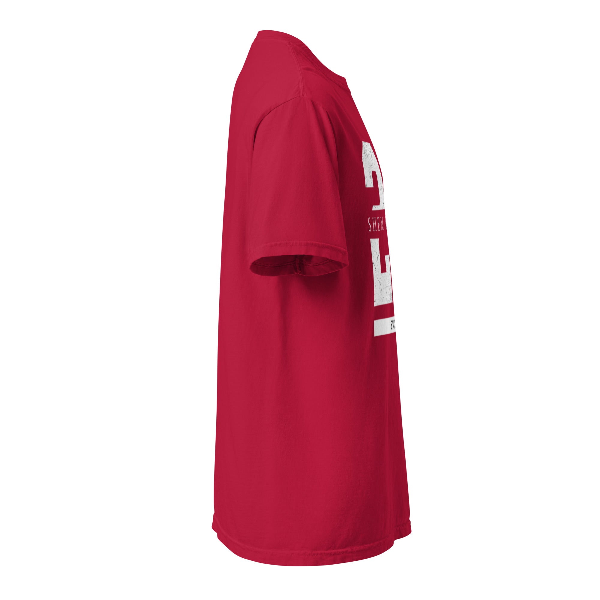 EMETH™ 26 Shem Havaya T-Shirt — vue 30