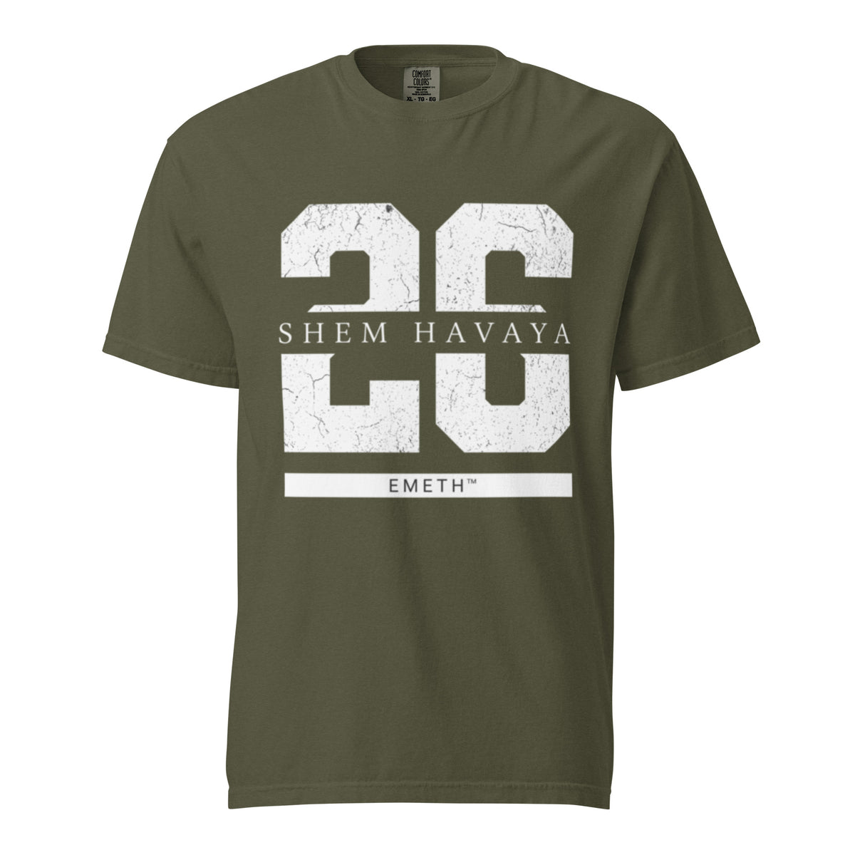 EMETH™ 26 Shem Havaya T-Shirt — vue 6