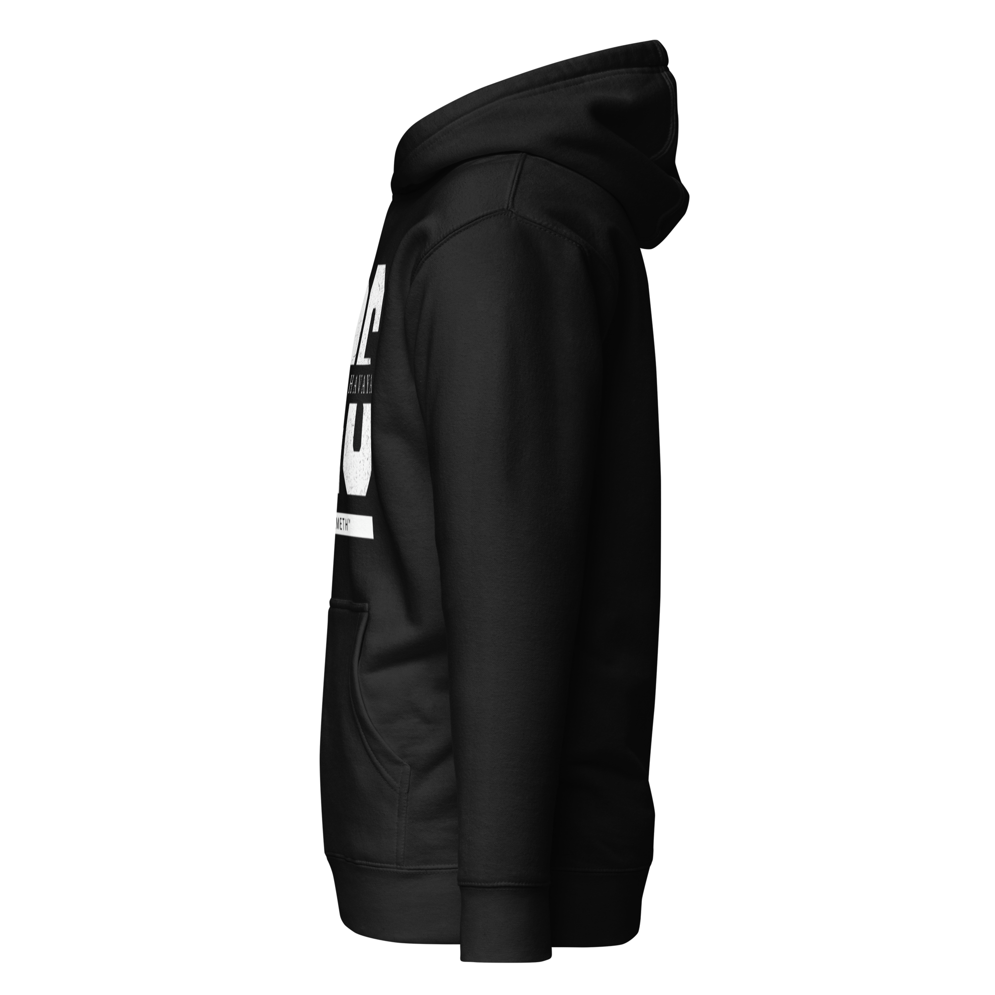EMETH™ 26 Shem Havaya Hoodie — vue 19