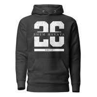 EMETH™ 26 Shem Havaya Hoodie — vue 4