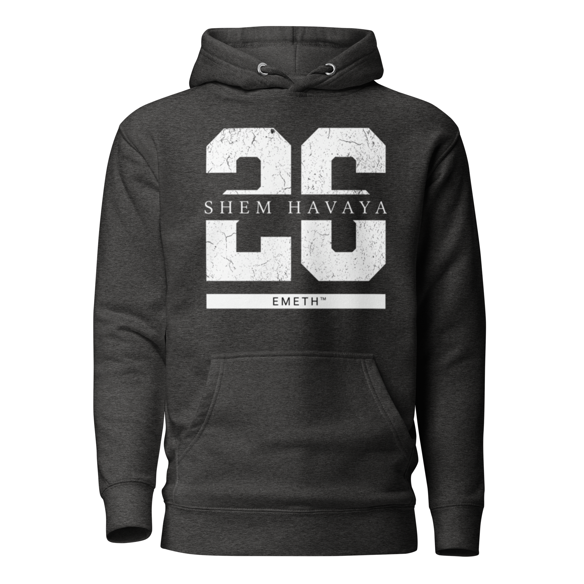 EMETH™ 26 Shem Havaya Hoodie — vue 4