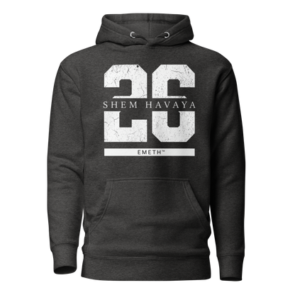 EMETH™ 26 Shem Havaya Hoodie — vue 4