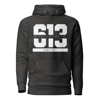 EMETH™ 613 Mitzvot Torah Premium Hoodie - Anthracite chiné / S - EMETH