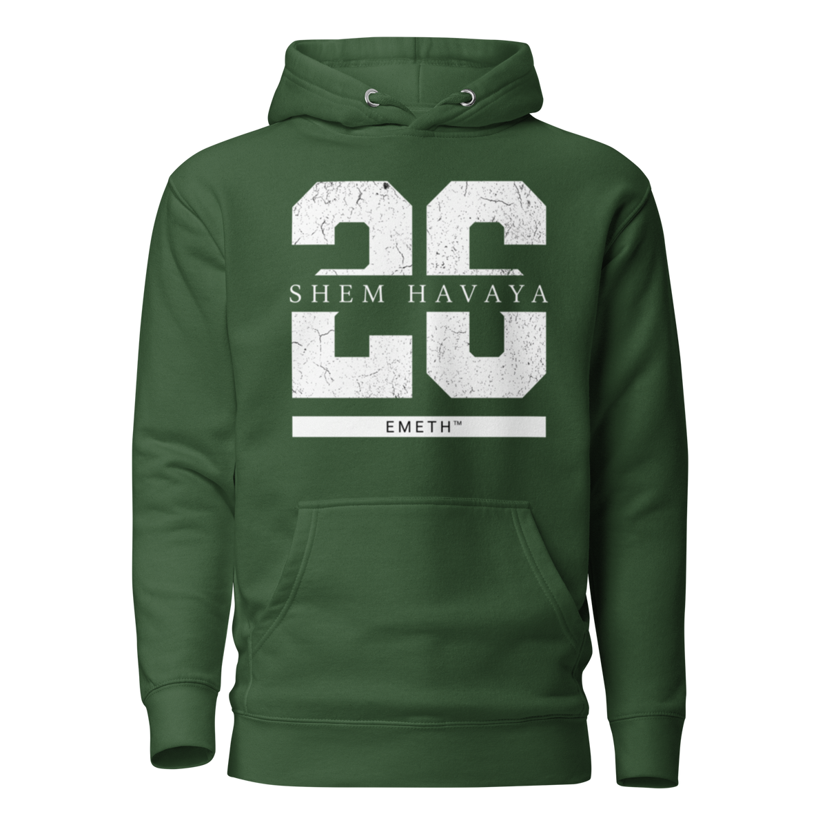 EMETH™ 26 Shem Havaya Hoodie — vue 8