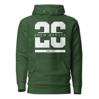 EMETH™ 26 Shem Havaya Hoodie — vue 8