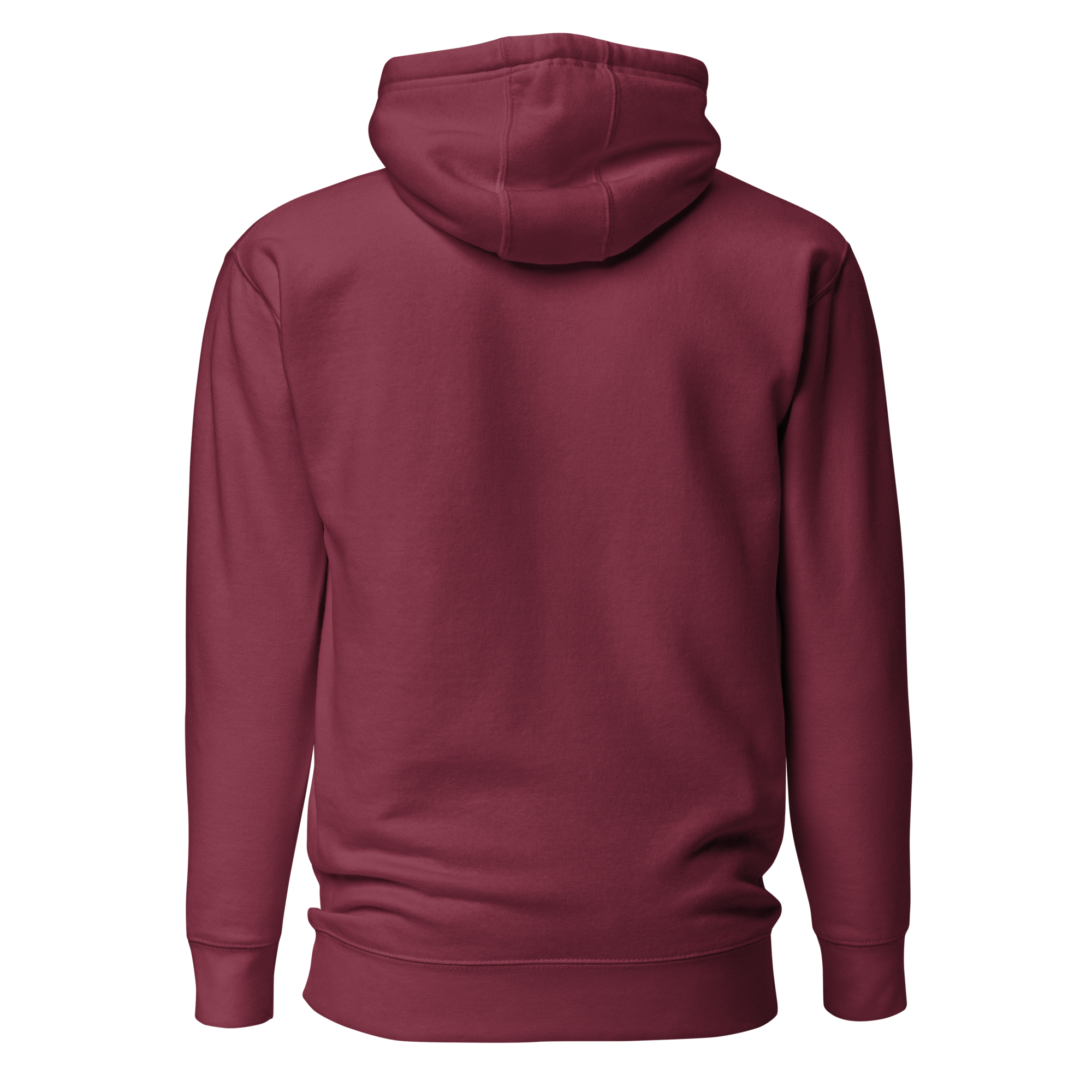EMETH™ 26 Shem Havaya Hoodie — vue 12