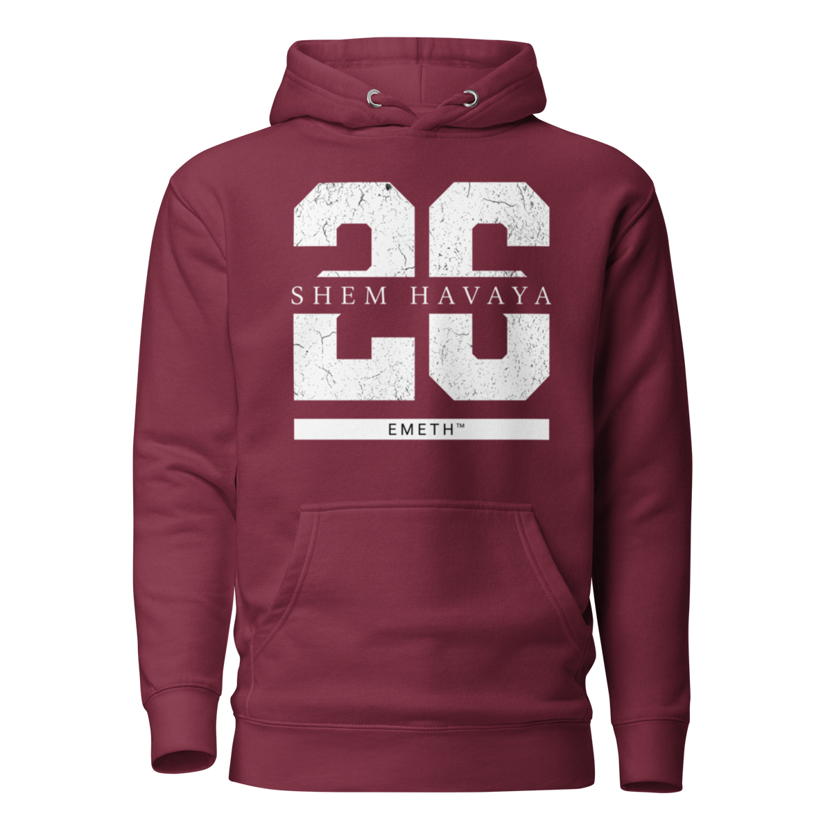 EMETH™ 26 Shem Havaya Hoodie — vue 3