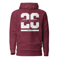 EMETH™ 26 Shem Havaya Hoodie — vue 3