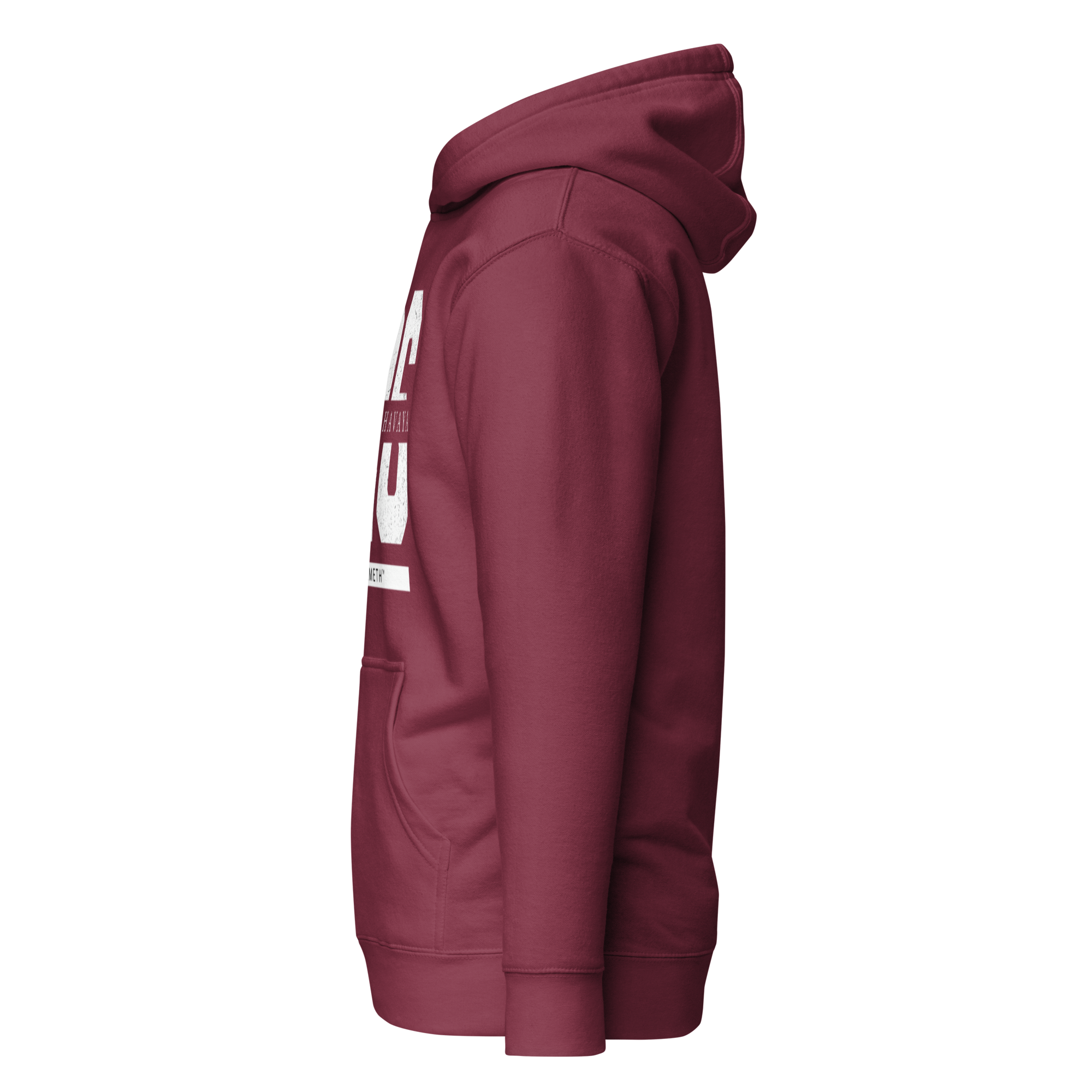 EMETH™ 26 Shem Havaya Hoodie — vue 21