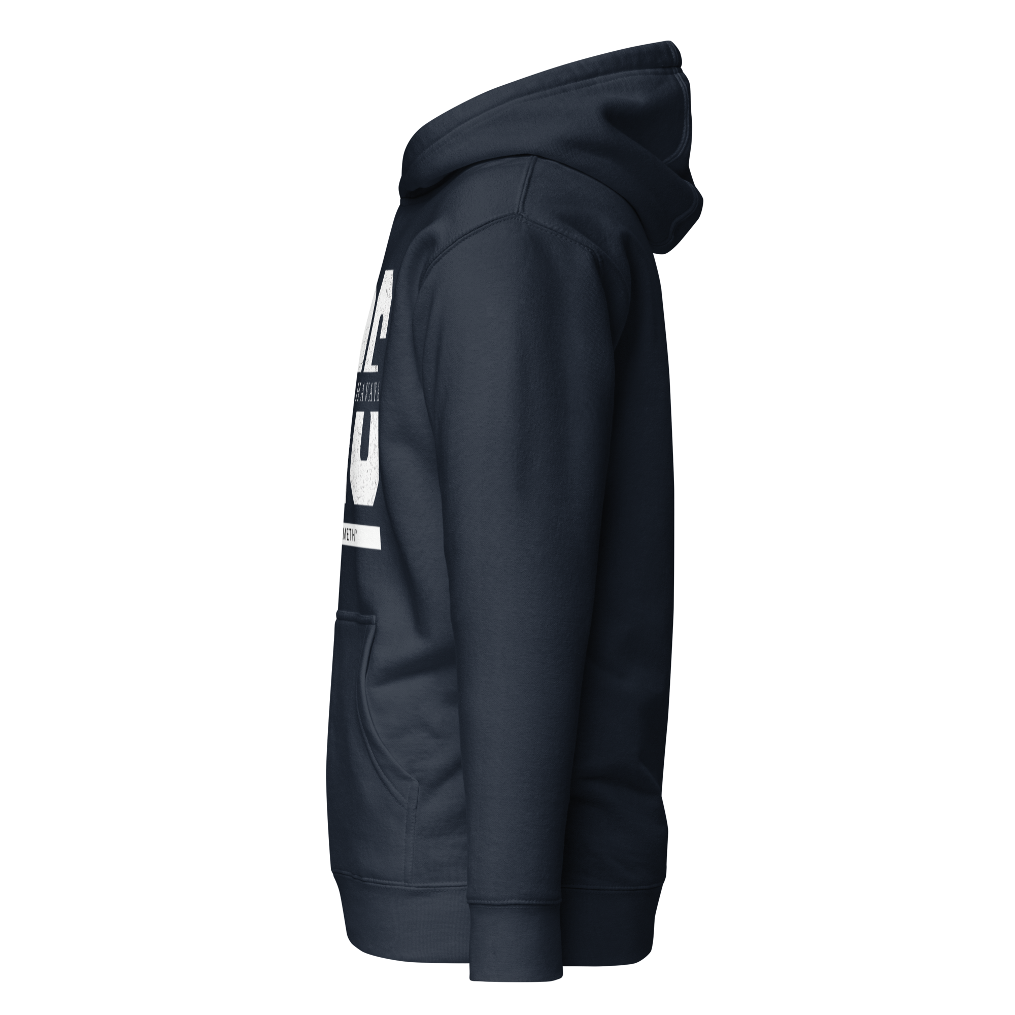 EMETH™ 26 Shem Havaya Hoodie — vue 20
