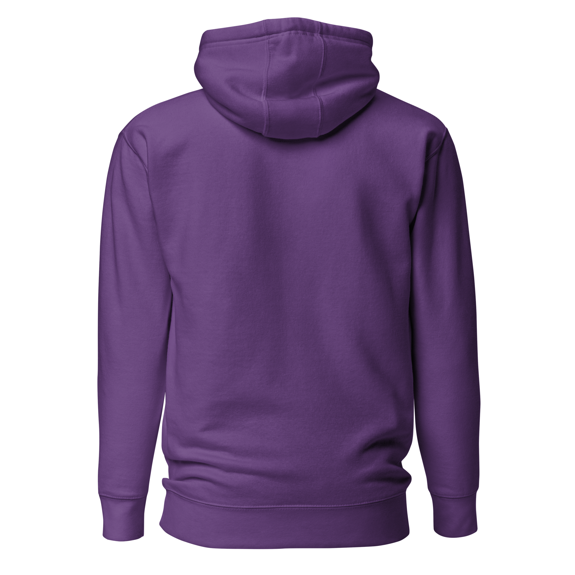 EMETH™ 26 Shem Havaya Hoodie — vue 16