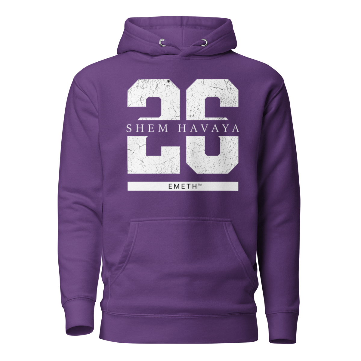 EMETH™ 26 Shem Havaya Hoodie — vue 7