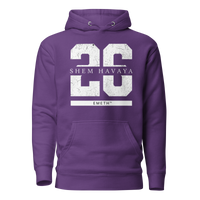 EMETH™ 26 Shem Havaya Hoodie — vue 7